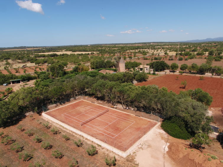 Moli de Son Vidal